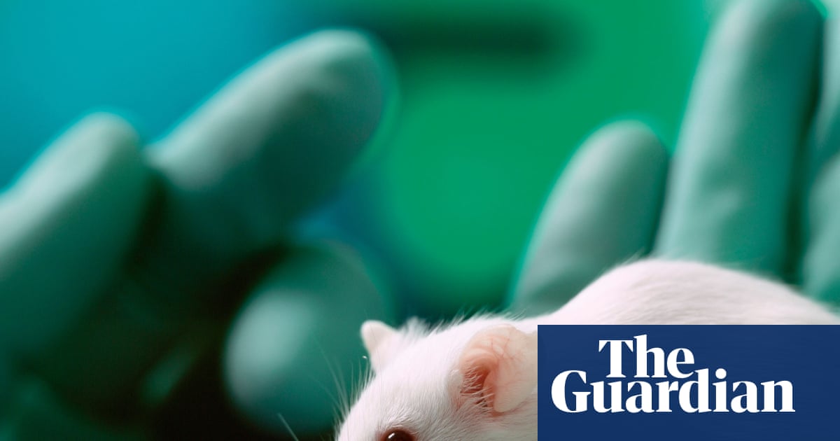UK Official Introduces Strategy to Reduce Animal Testing by Leveraging Advanced AI in Medical Research – Mirror Brief